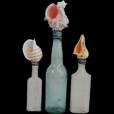 Three Antique Bottles Topped with Sea Shells (1 of 5)
