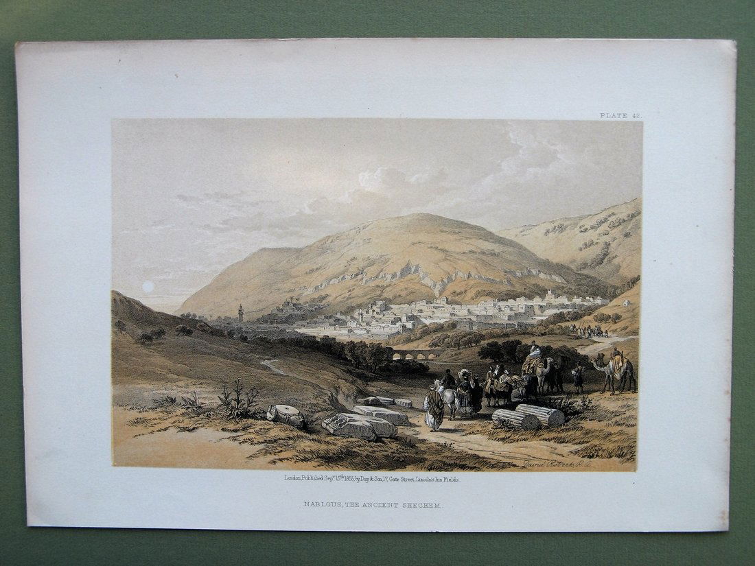 David Roberts: Nablus, the Ancient Shechem (1 of 1)