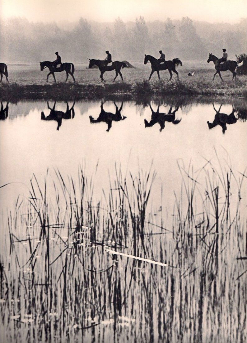 Hein Gorny: Chevaux a l'entertainement a l'aube (1 of 1)