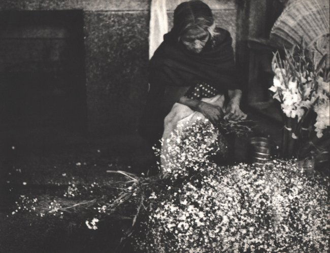 Nell Dor: Flowers, Oaxaca (1 of 1)