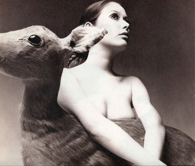 Yoshihiro Tatsuki: Woman with Deer (1 of 1)