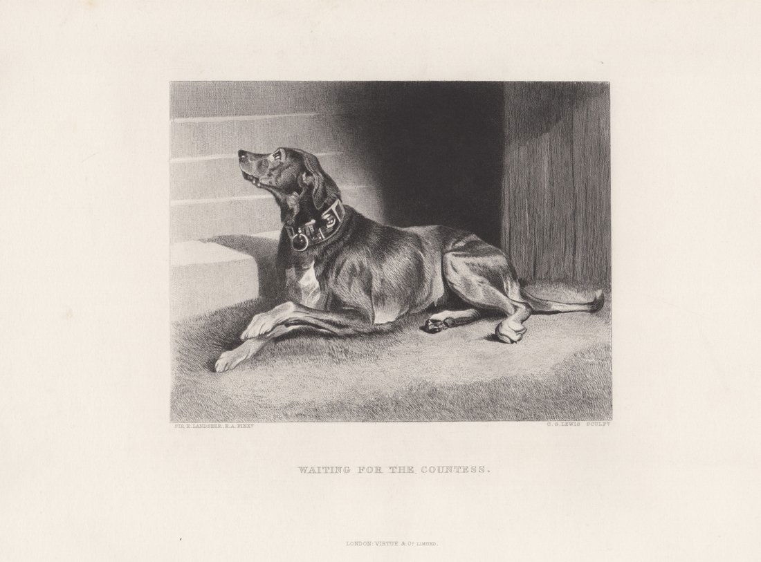 Edwin Landseer: Waiting for the Countess, 1875 (1 of 1)