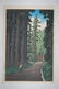 Hasui Kawase: Road to Nikko, 1930