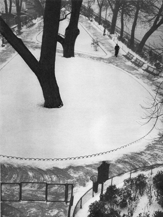 Andre Kertesz: Snowy Park (1 of 1)