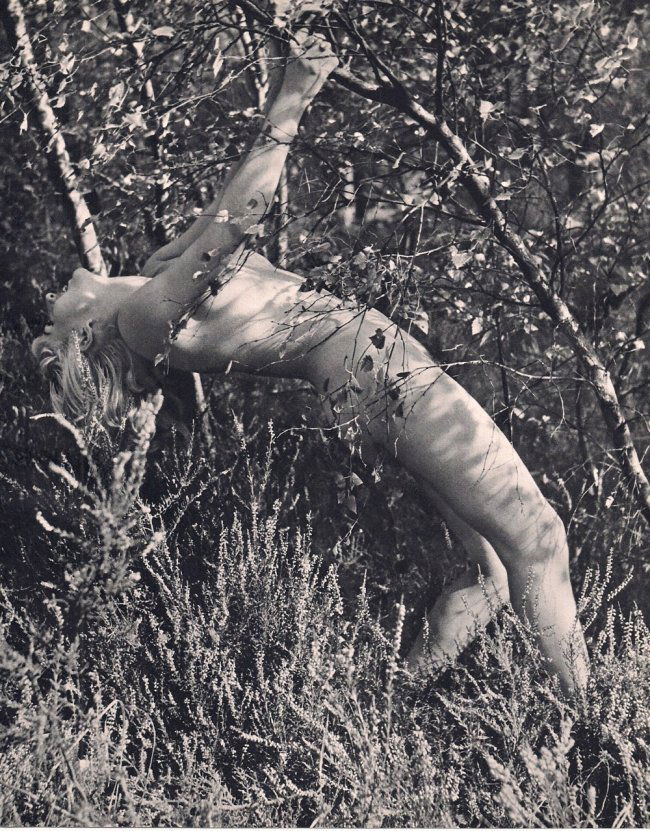 Lucien Lorelle: Nude in the Forest: Print Title: Nude in the Forest Artist: Lucien Lorelle Medium: Vintage Sheet-Fed Gravure Printing Date: 1964 Printer: Sapho, France Image Size: 7.5 x 9.25 inches Lucien Lorelle (1894-1968) was a Frenc