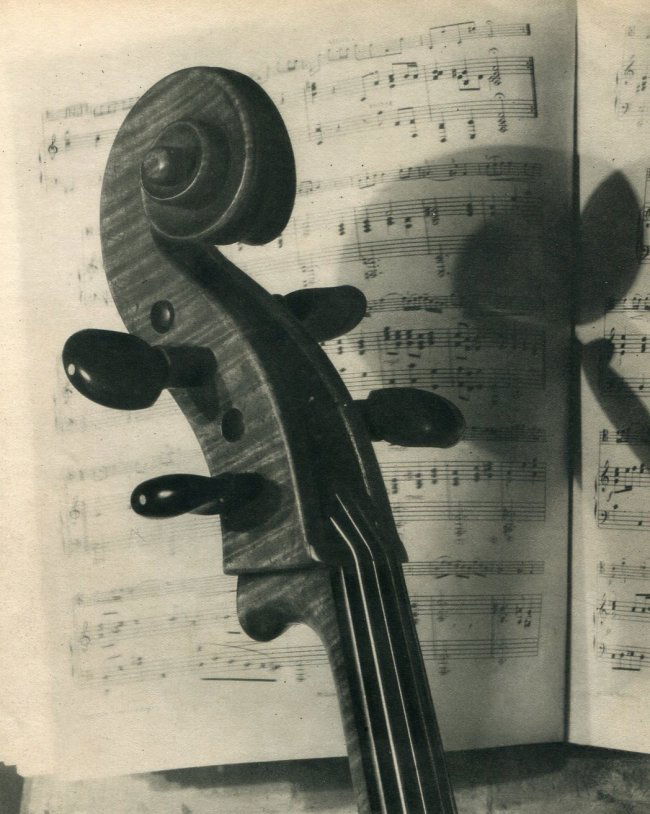 Andre Vigneau: Bass (1 of 1)