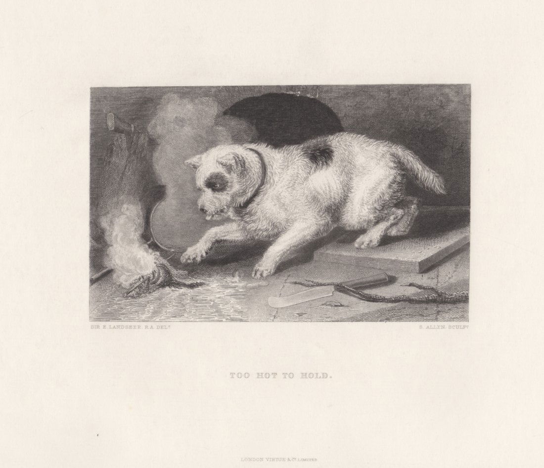 Sir Edwin Landseer: Too Hot to Hold, 1875 (1 of 1)