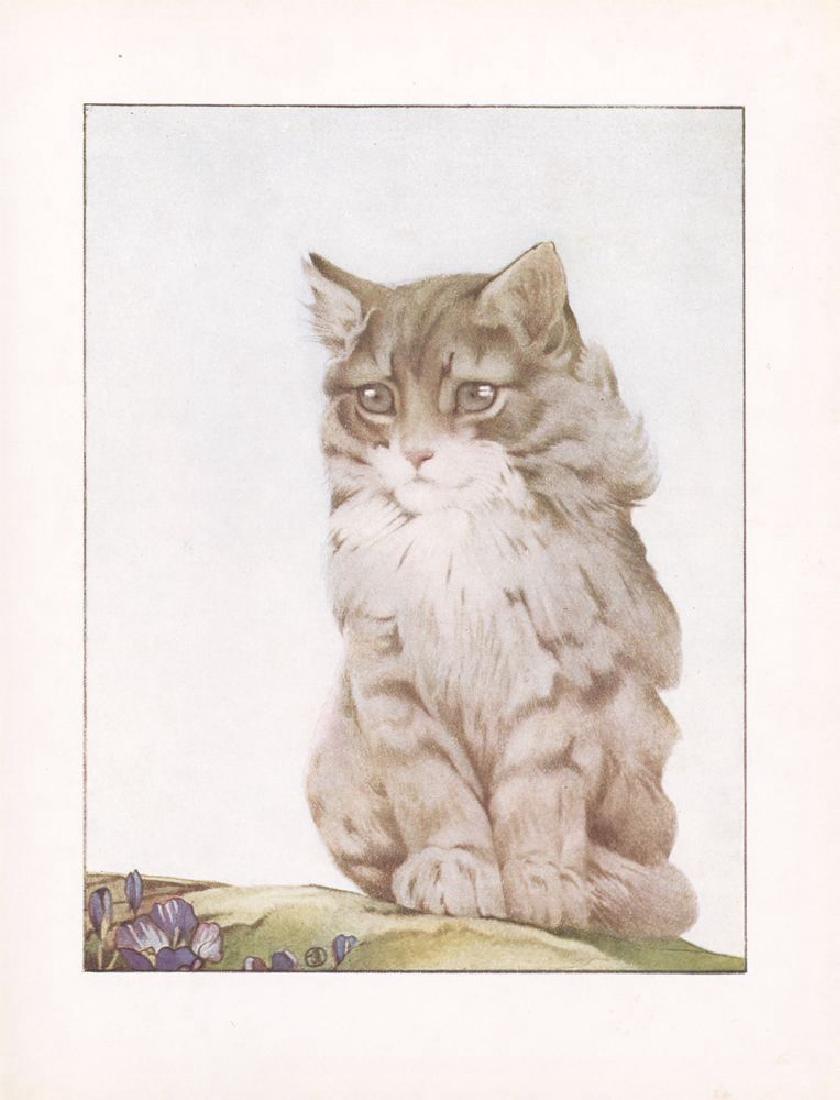 E.J. Detmold: Kitten, 1938 (1 of 1)