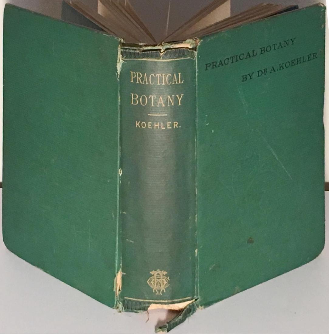 Practical Botany, Structural & Systematic by A. Koehler (1 of 4)