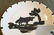 Picasso: Bull Under the Tree Ceramic Plate - 2