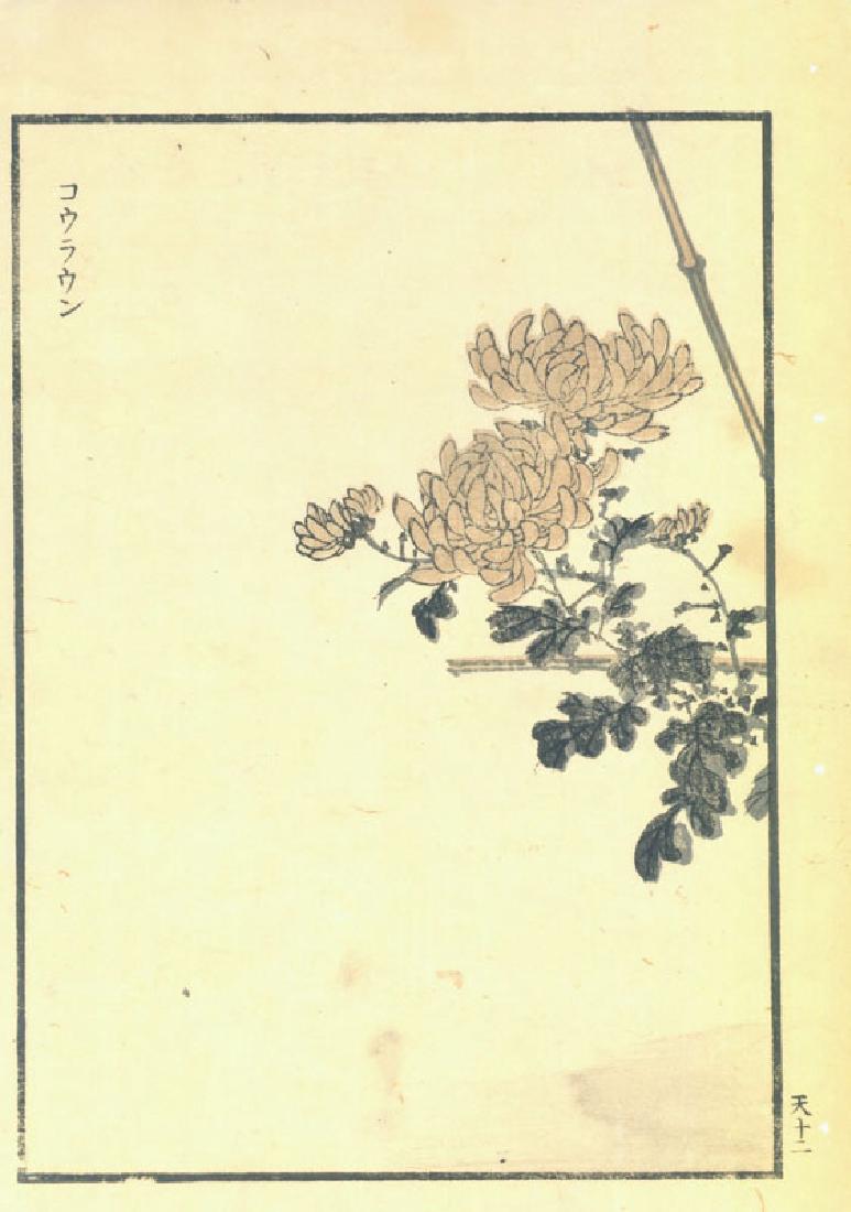 Kono Bairei: Chrysanthemum Branch (1 of 1)