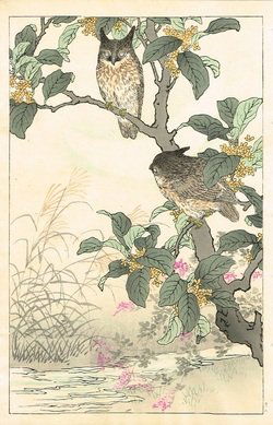 Kono Bairei: Owls (1 of 1)