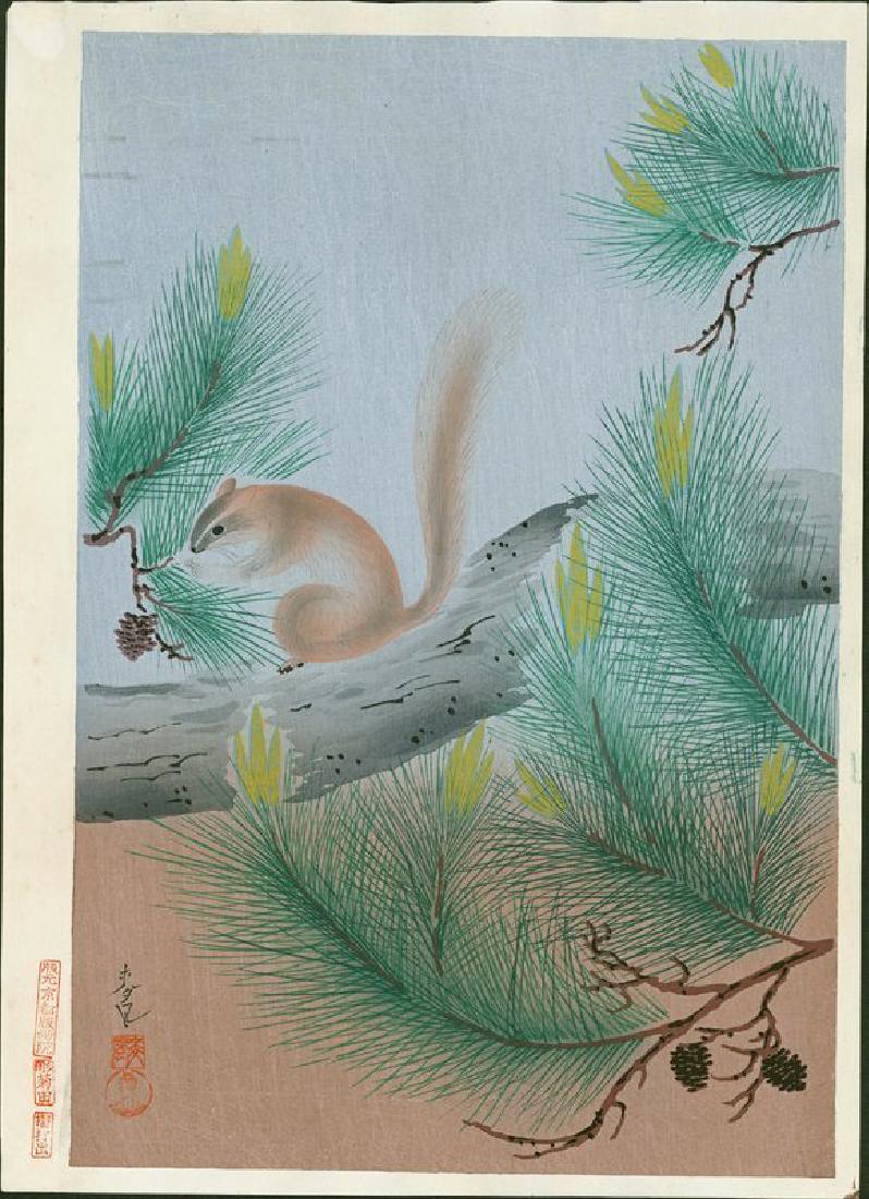 Ohno Bakufu: Squirrel in a Pine Tree: Artist: Ohno Bakufu Title: Squirrel in a Pine Tree Date: 1950's Medium: Japanese Woodblock Print Size: Oban 15 x 10.75 inches Publisher: Kyoto Hanga-in Ohno Bakufu was a Japanese painter and printmake