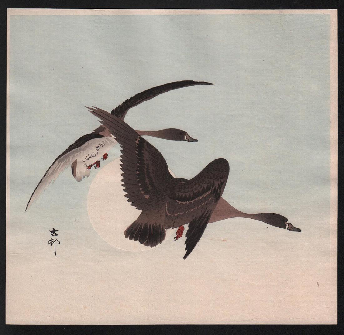Ohara Koson: Geese in Flight Before Full Moon (1 of 1)