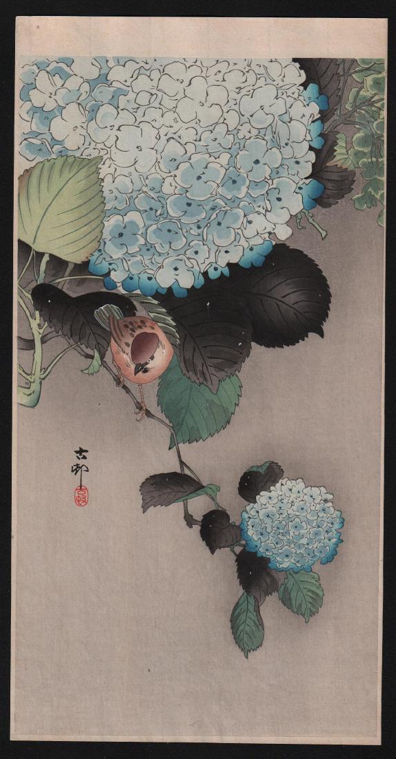 Ohara Koson: Sparrow on Hydrangea (1 of 1)