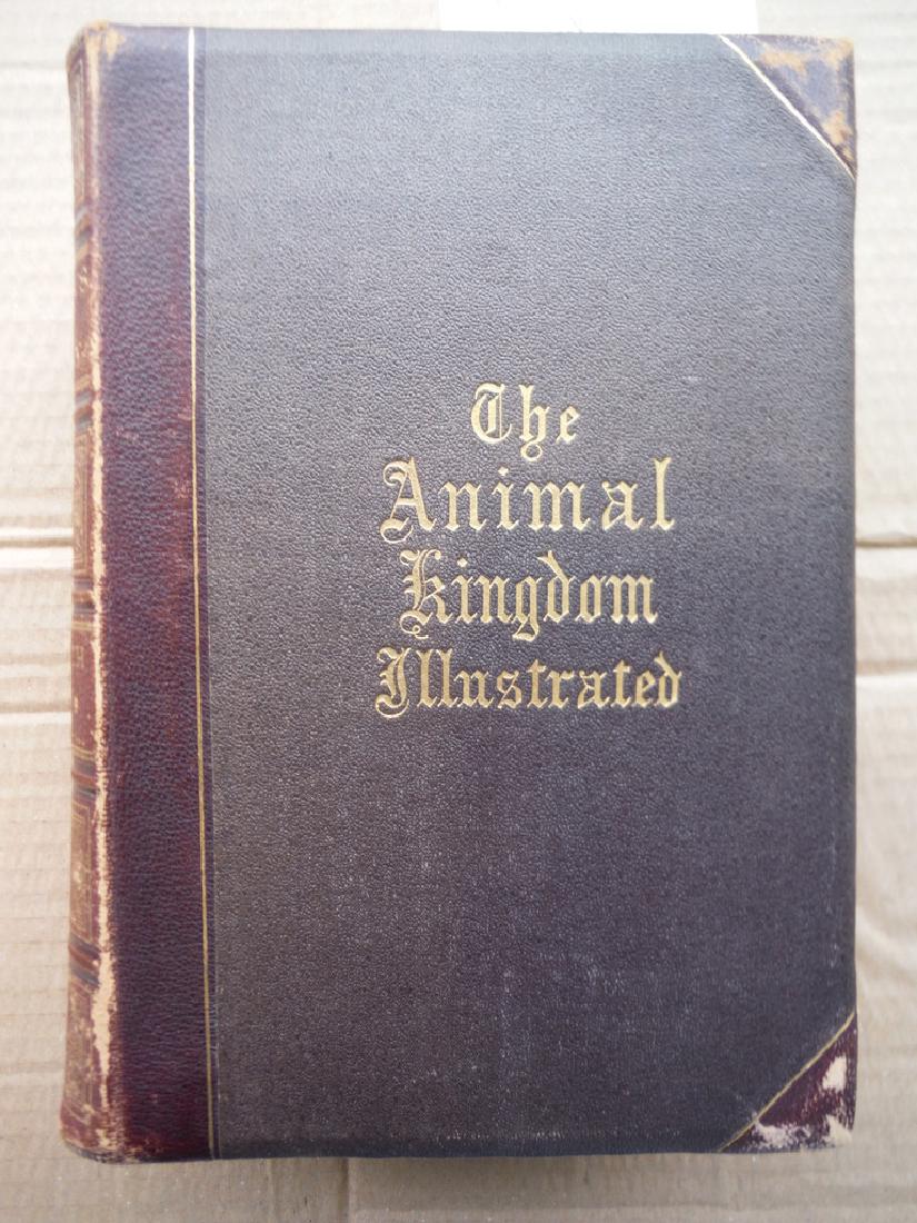 The Animal Kingdom, Johnson's Natural History, 2 Vols (1 of 3)