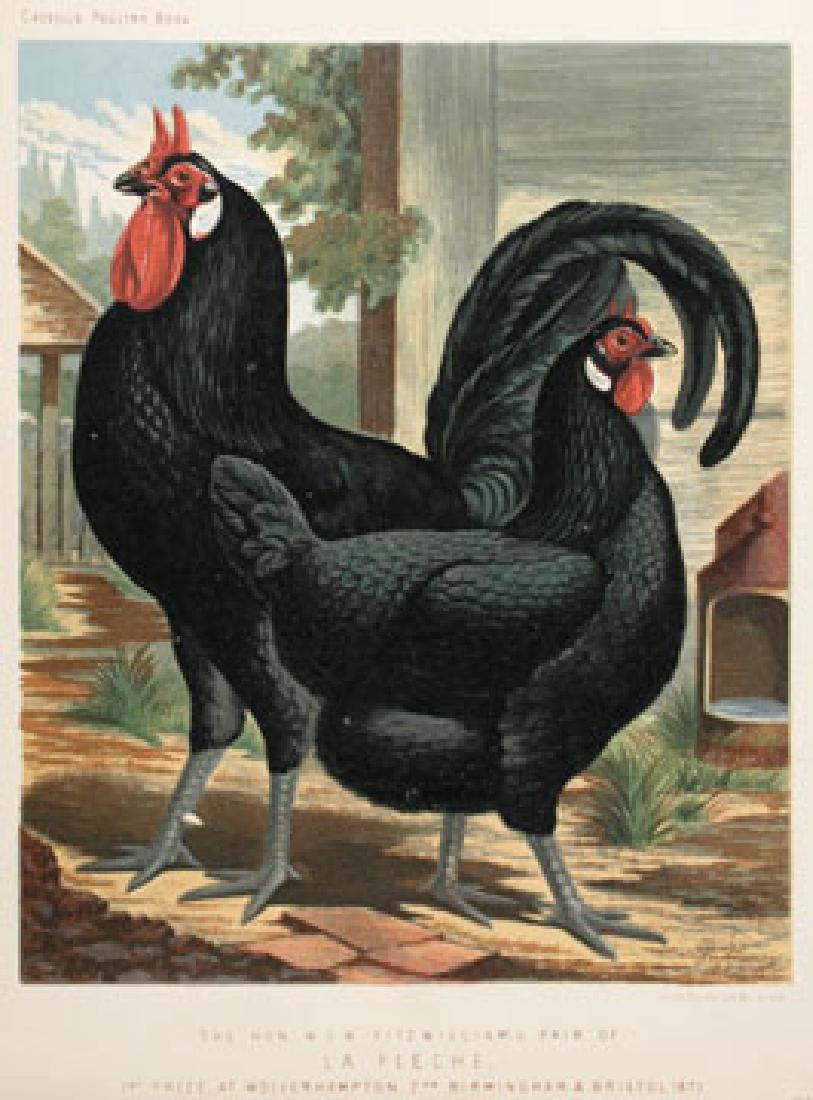 J.W. Ludlow: La Fleche (1 of 1)