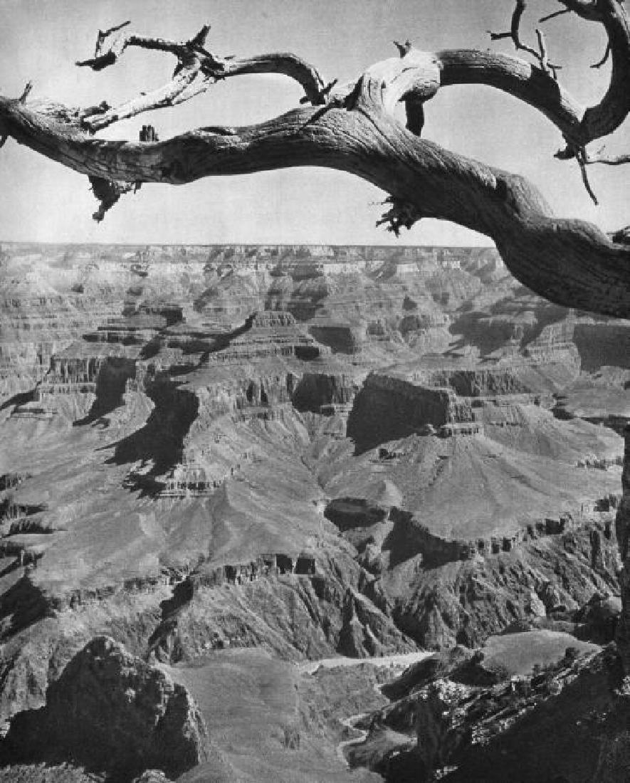 Fritz Henle: Grand Canyon: Print Title: Grand Canyon Artist: Fritz Henle Medium: Vintage Sheet-Fed Gravure Printing Date: 1947 Printer: Sapho, France Image Size: 8 x 10 inches No Reserve: This lot starts at $1 and has no reserv