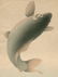Ohara Koson: Jumping Carp - 2