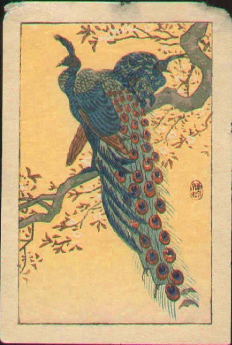 Ohara Koson: Peacock & Peahen in Flowering Cherry Tree: Artist: Ohara Koson Title: Peacock and Peahen in a Flowering Cherry Tree Date: Early 1900's Medium: Japanese Woodblock Print Size: 4.1 x 2.75 inches Illustrated as AS30 on page 217 of "Crows, Cranes a