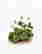 item-50736540=3