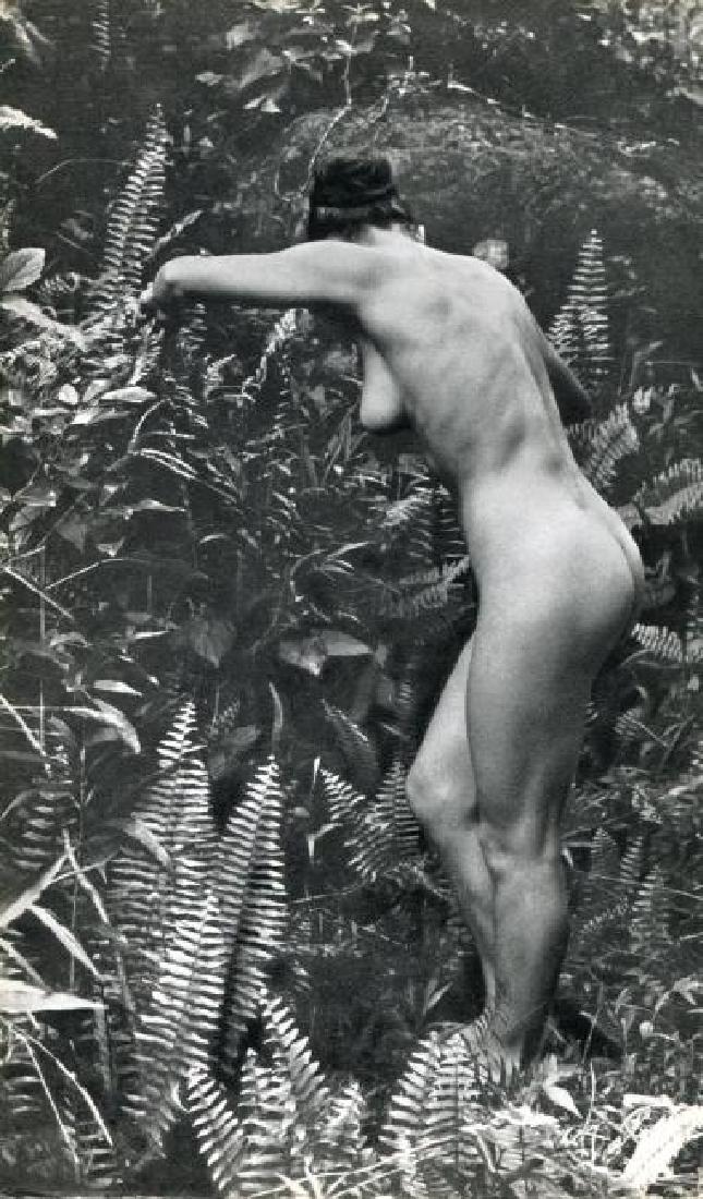 Clermont, R.M. - Antilles Nude: Sheet Fed Gravure Printed in France in 1967 by LES Presses de la S.A.D.A.G - Image size approx. 5 x 9 in. No Reserve: This lot starts at $1 and has no reserve as a courtesy so that collectors can dete