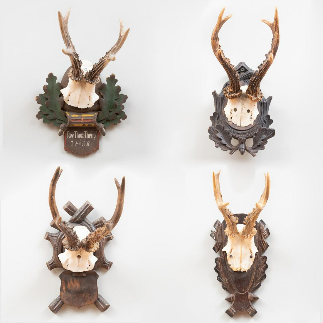 Group of Four Deer Trophies: Group of Four Deer Trophies On wood mounts. The largest 11 x 6 x 8 1/4 in. Property from the Collection of Lynne and Armin Allen