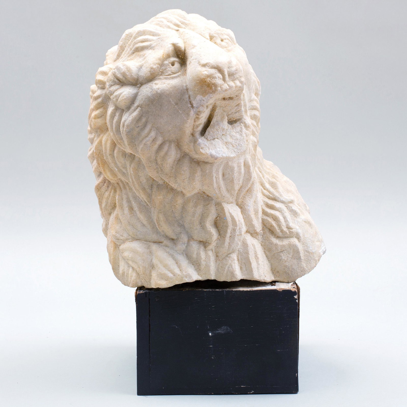 Medieval Carved Limestone Lion's Head: Medieval Carved Limestone Lion's Head Now raised on an ebonized base. Head: 10 x 7 3/4 x 8 3/4 in. p>