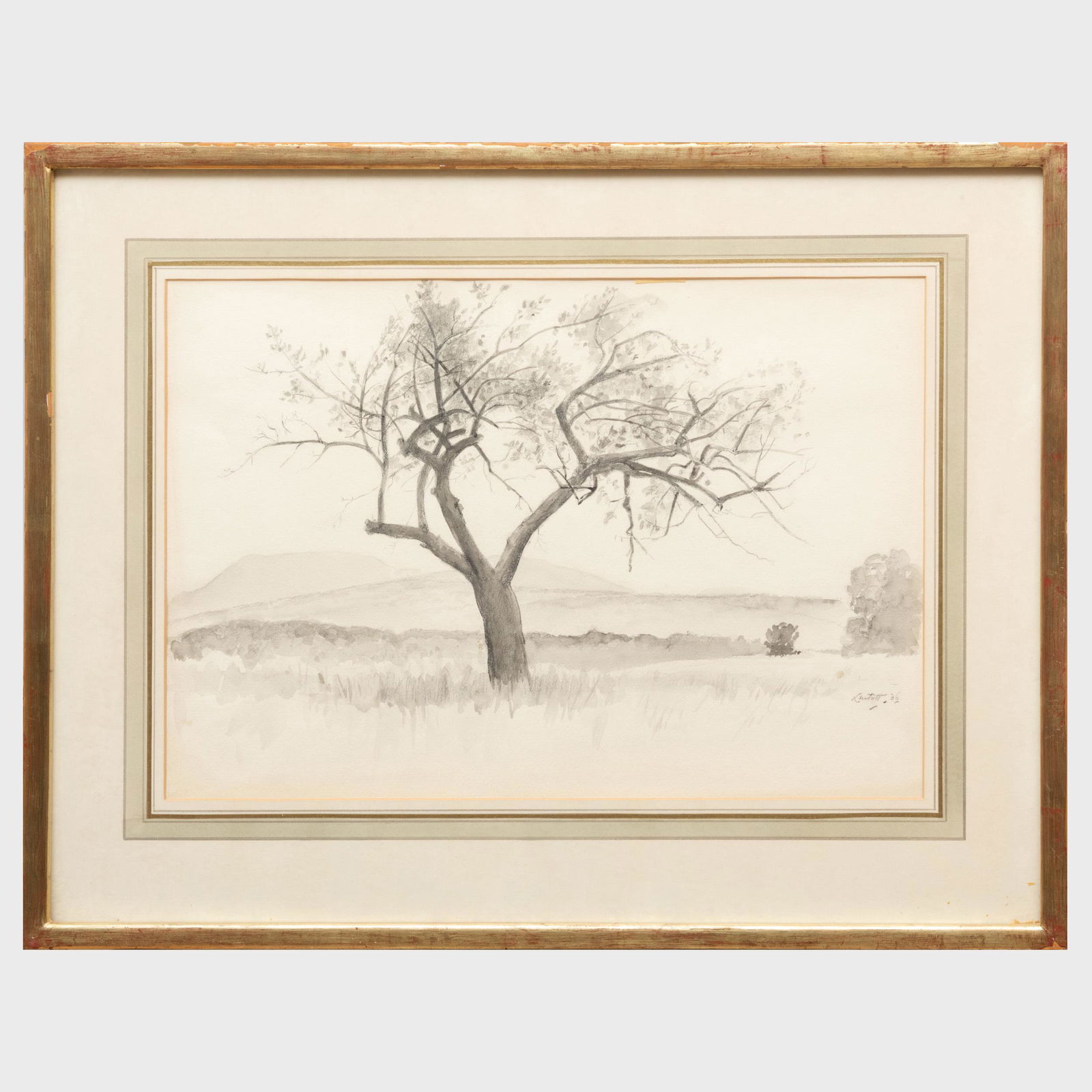 Edward Barnard Lintott (1875-1951): Untitled (Tree): Edward Barnard Lintott (1875-1951): Untitled (Tree) Pencil and wash on paper, 1936, signed 'Lintott' and dated lower right, with label from Clayton Liberatoire, NY and Elaine G. Weitzen Fine Art, NY.