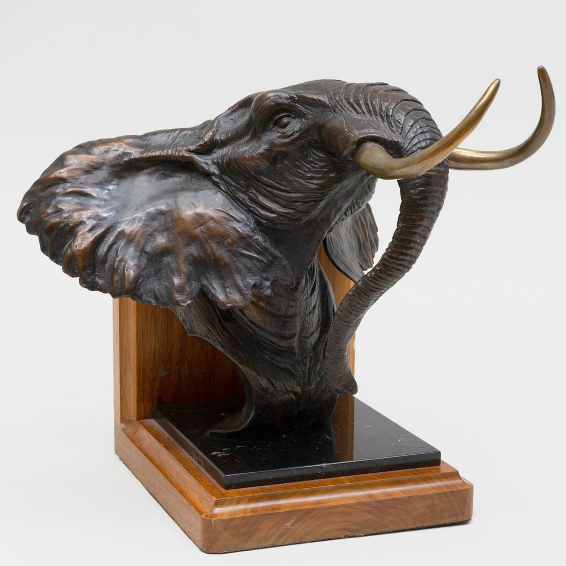 David Schaefer: Elephant (1 of 9)