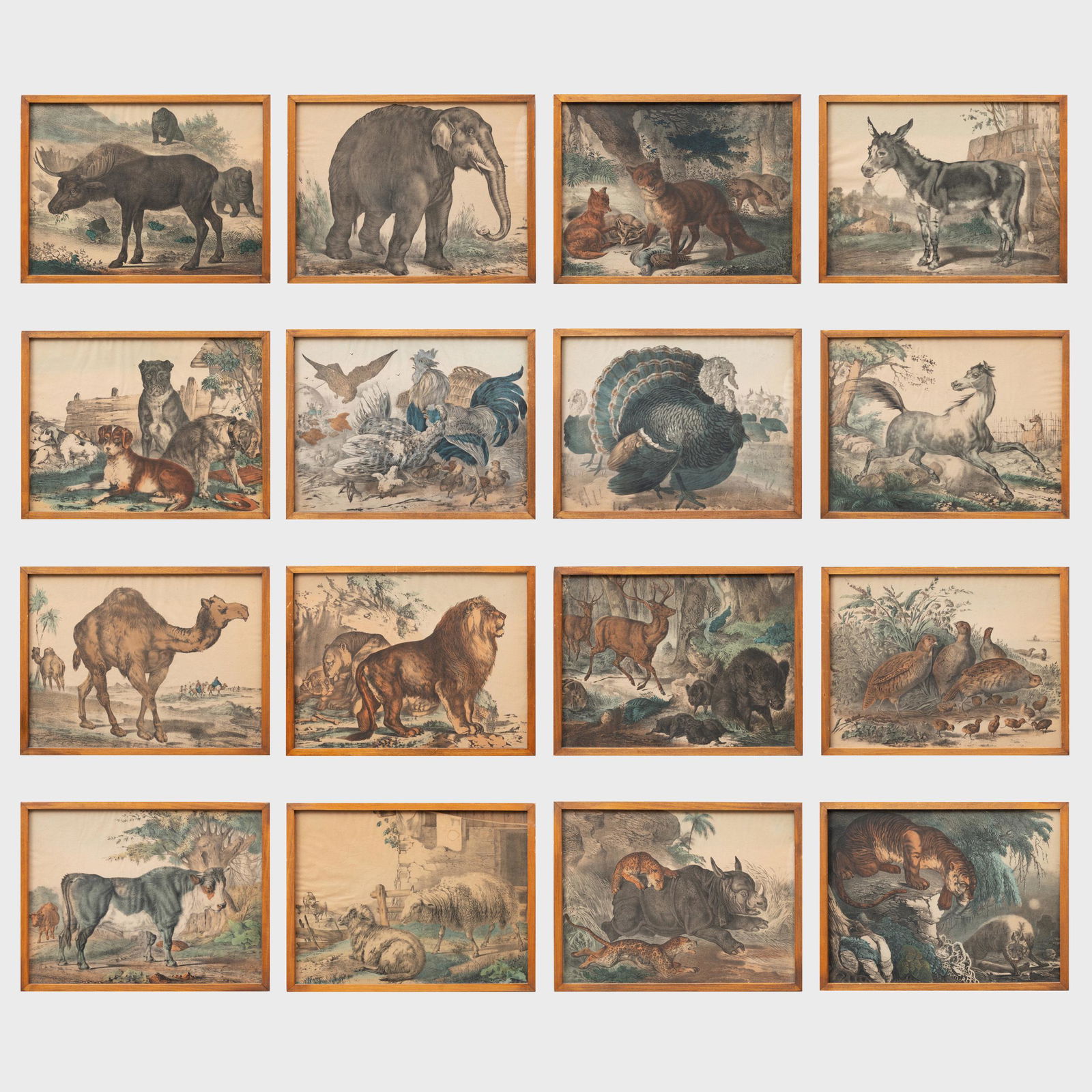 European School: Animals: Sixteen Plates (1 of 20)