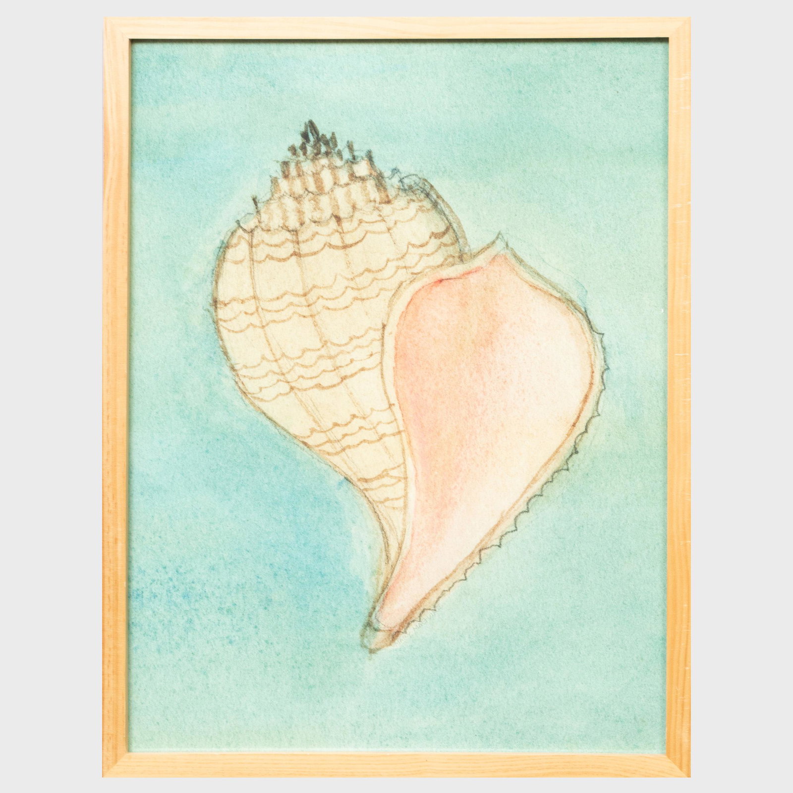 After Mary Maguire: Conch Shell; and Leopards: A Pair: After Mary Maguire: Conch Shell; and Leopards: A Pair Three photomechanical reproductions on paper. 23 1/2 x 17 1/2 in. (sight), 25 1/2 x 19 1/4 in. (frame), two 20 1/2 x 27 1/2 in. (sight), 24 x 31 i