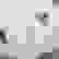 item-83702881=7