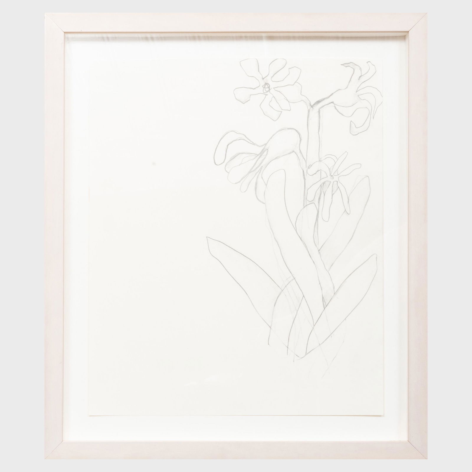 Jack Pierson (b. 1960): Untitled (Flower): Jack Pierson (b. 1960): Untitled (Flower) Pencil on paper, 2003, signed 'Jack Pierson' and dated on the reverse, with label from Cheim & Read, NY. 13 x 11 in. (sheet), 16 1/2 x 14 1/4 in. (frame). Joh