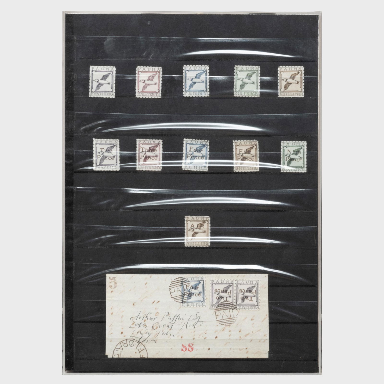 Donald Evans (1945-1977): Fauna 1900. Puffin in Flight: Donald Evans (1945-1977): Fauna 1900. Puffin in Flight Watercolor on paper, 1973, with label from Tibor de Nagy, NY. 11 3/8 x 8 1/4 in. (sheet), 11 3/4 x 8 3/4 in. (frame). John Richardson: A Scholar