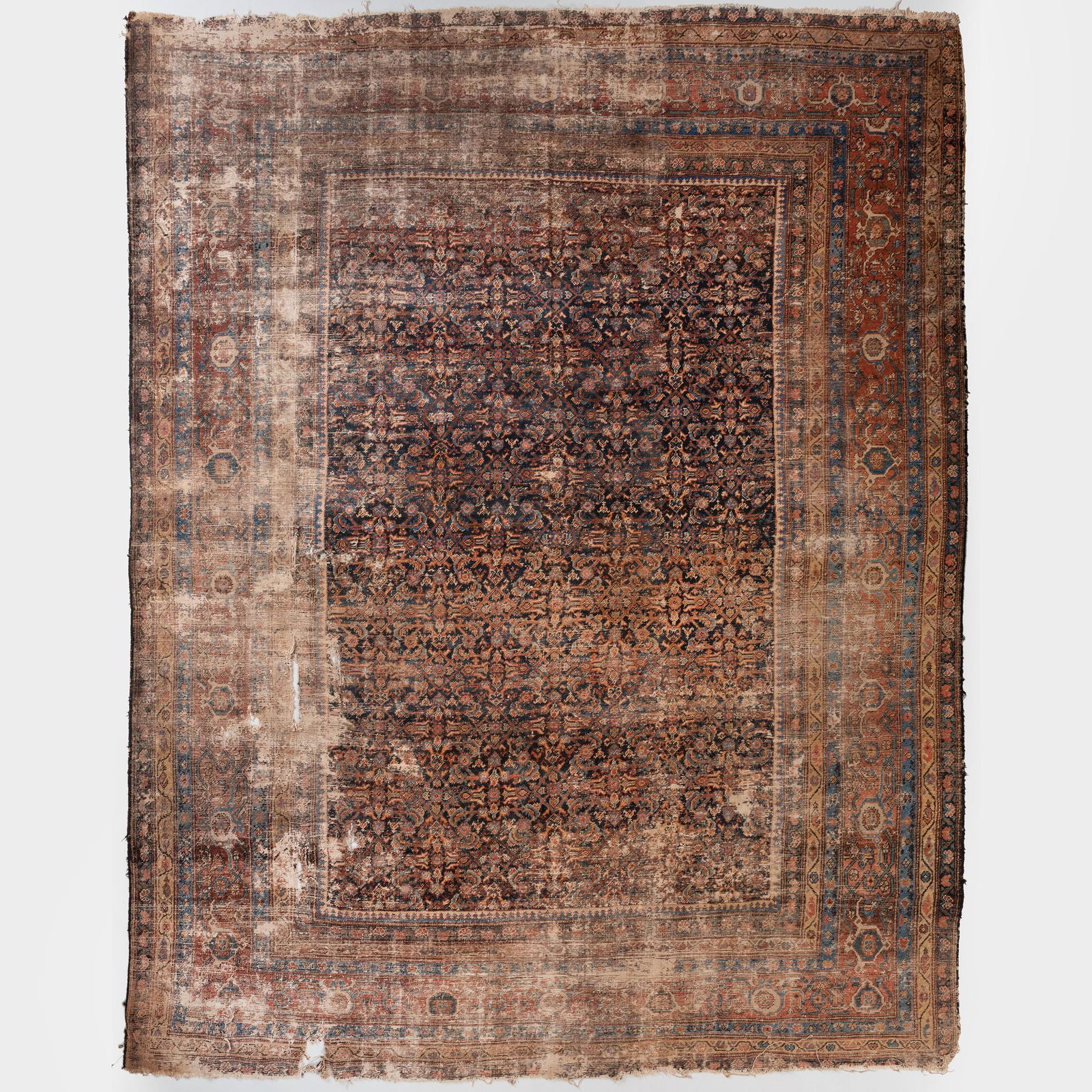 Persian Gallery Carpet (1 of 3)