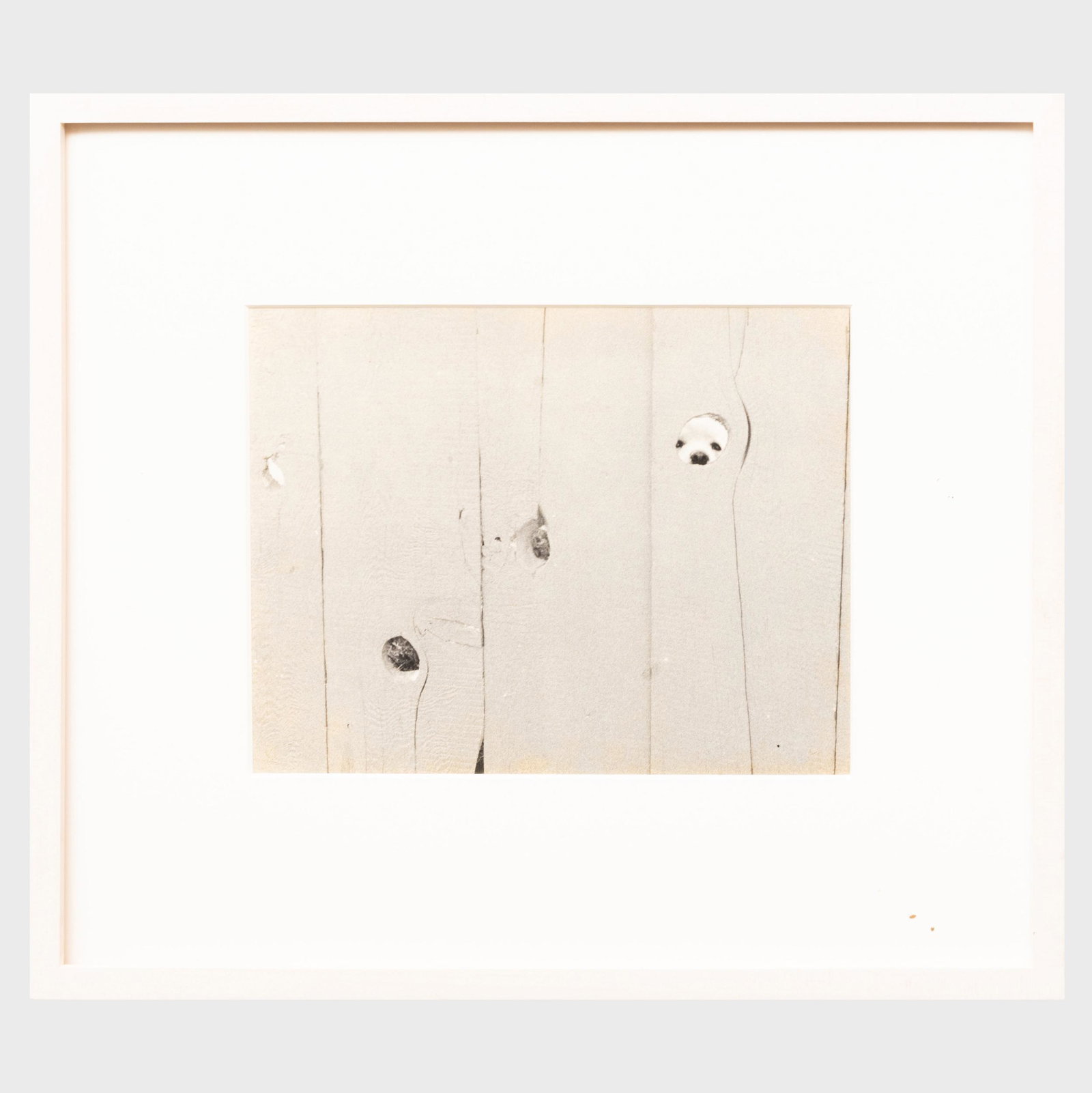 Jeff Fisher: Knot Hole: Jeff Fisher: Knot Hole Black and white photograph. 7 x 9 in. (sight), 14 x 16 in. (frame).