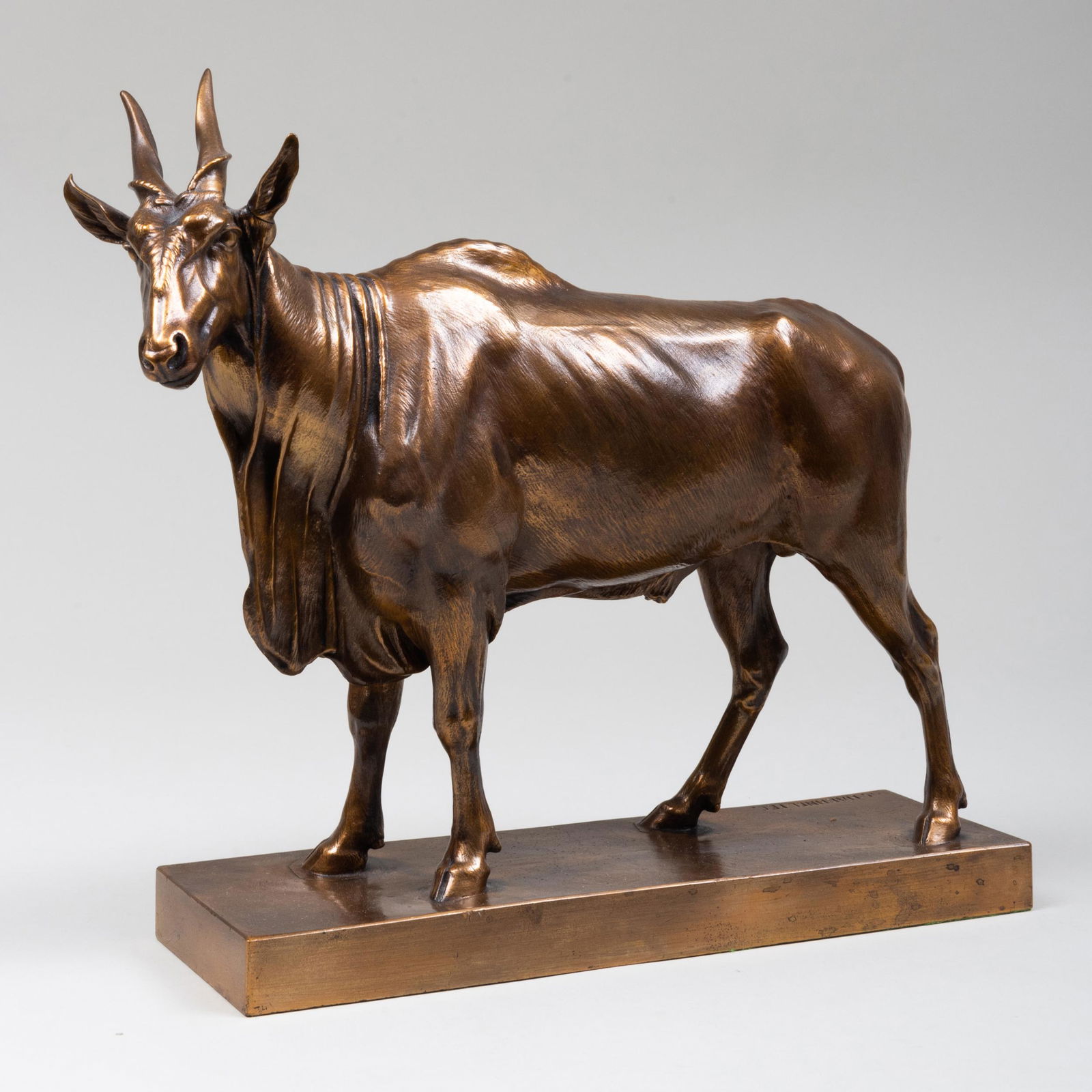 Julius Heinrich Haehnel (1823-1909): Model of a Yak (1 of 11)