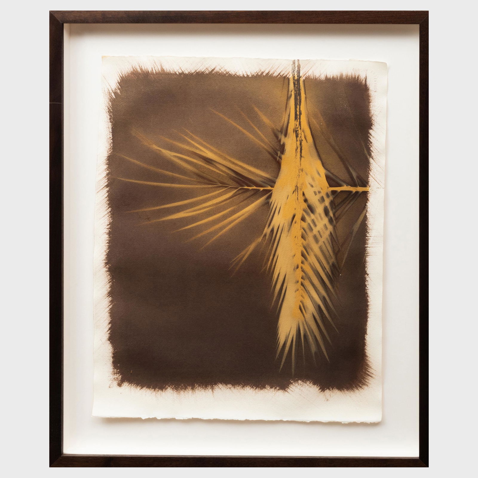 Lindy Smith: Baby Saw Grass (1 of 3)