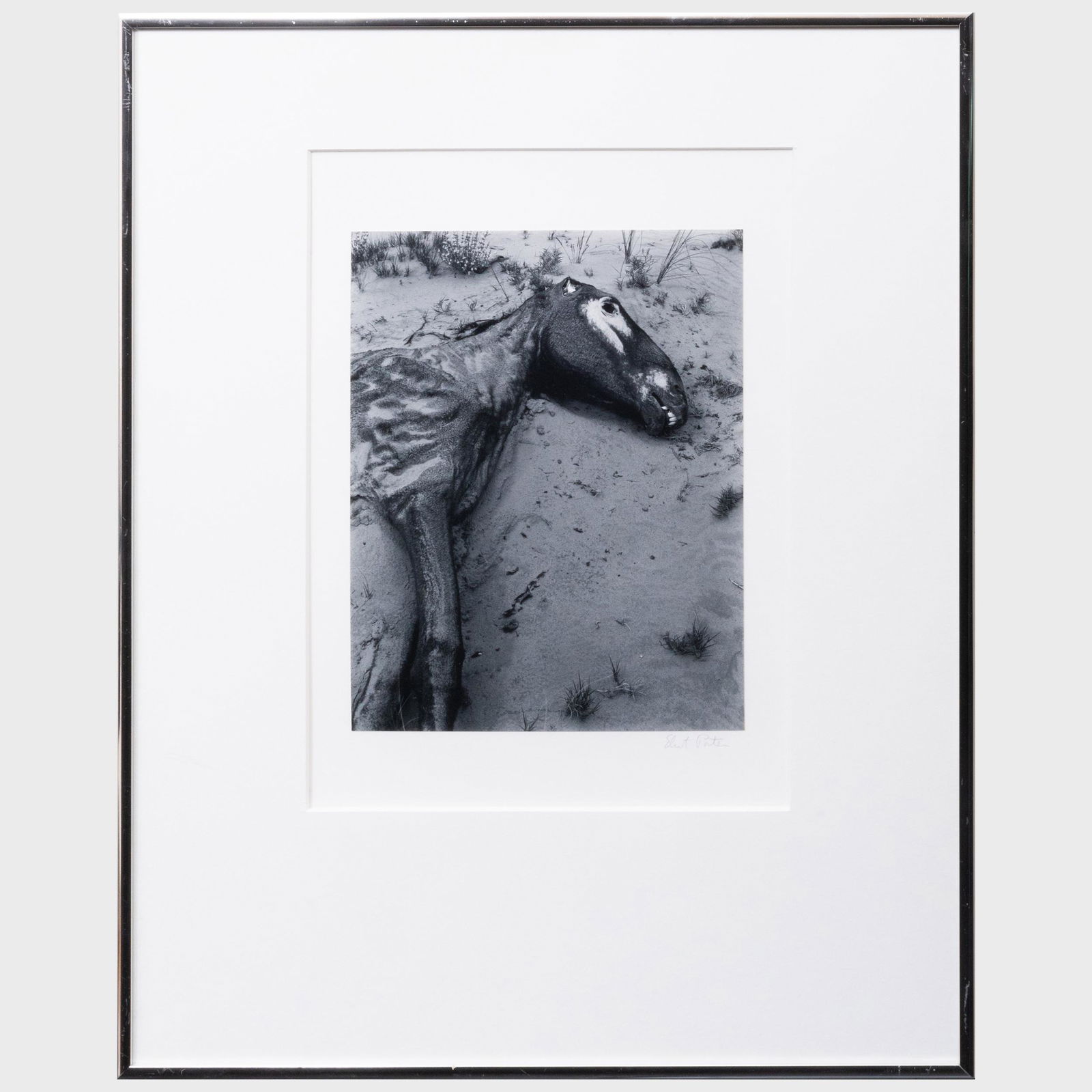 Eliot Porter (1901-1990): Untitled (1 of 3)