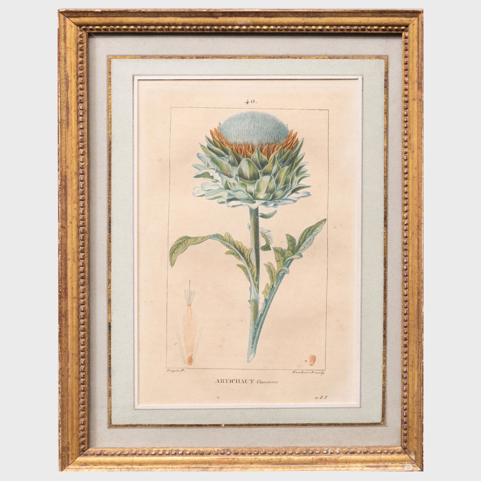 French School: Artichaut: French School: Artichaut Engraving with hand-coloring on wove paper; together with German School: Artichokes, engraving with hand-coloring. 7 3/8 x 4 7/8 in. (sight), 10 1/2 x 8 in. (frame), 11 x 15