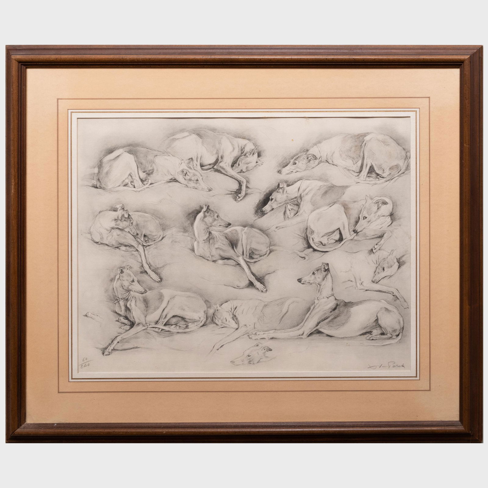 20th Century School: Whippets (1 of 5)