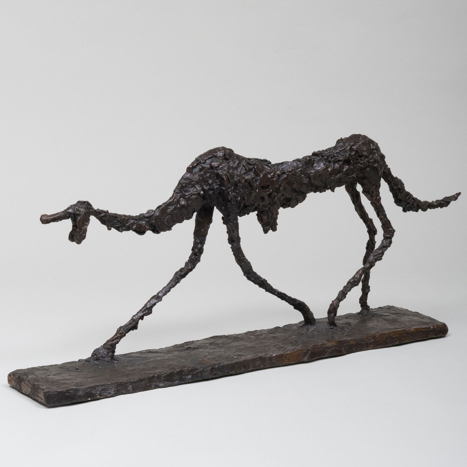 Wendy Fisher: Dog I (1 of 7)