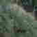 item-120405939=3