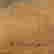 item-120406110=3