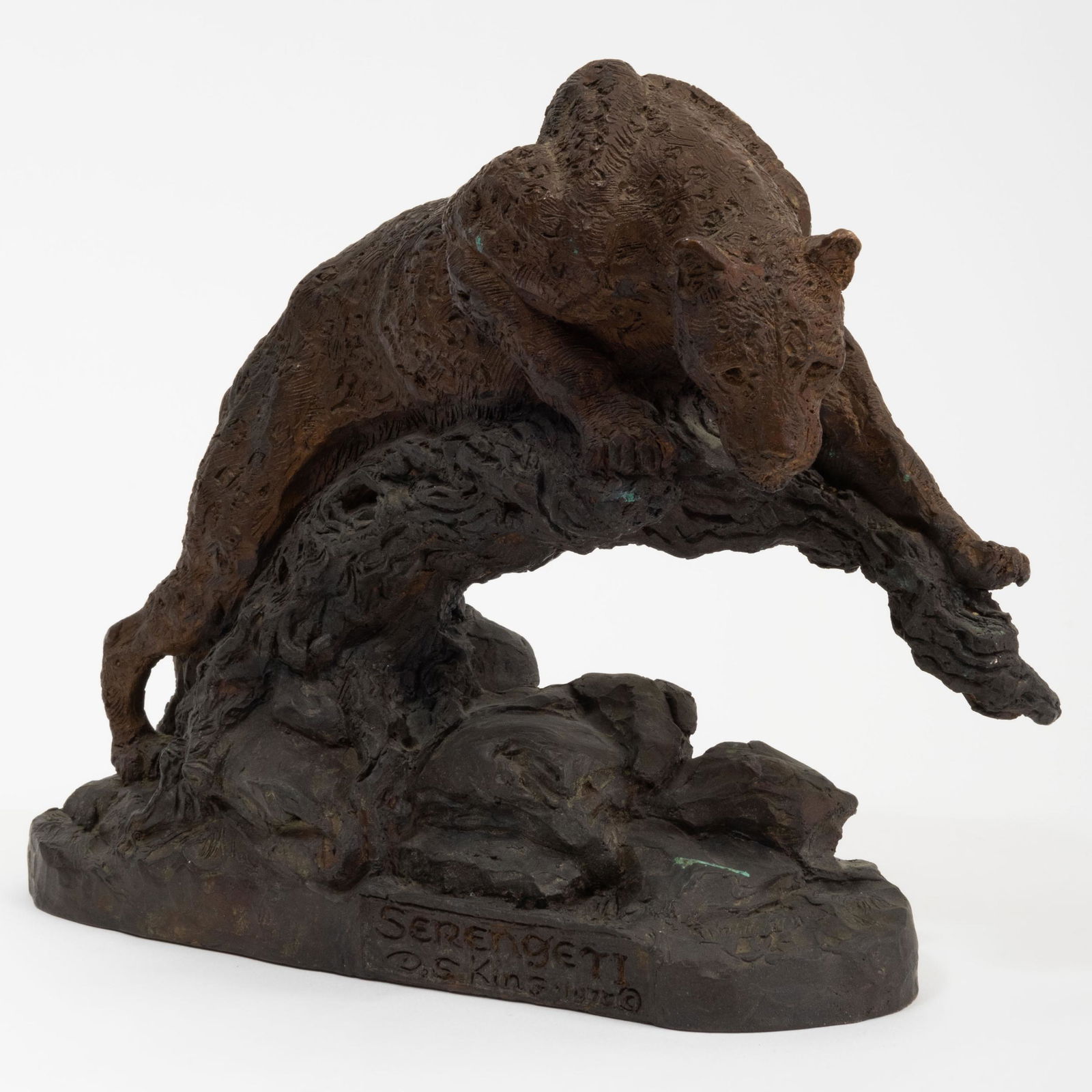 D.S. King: Serengeti (1 of 8)