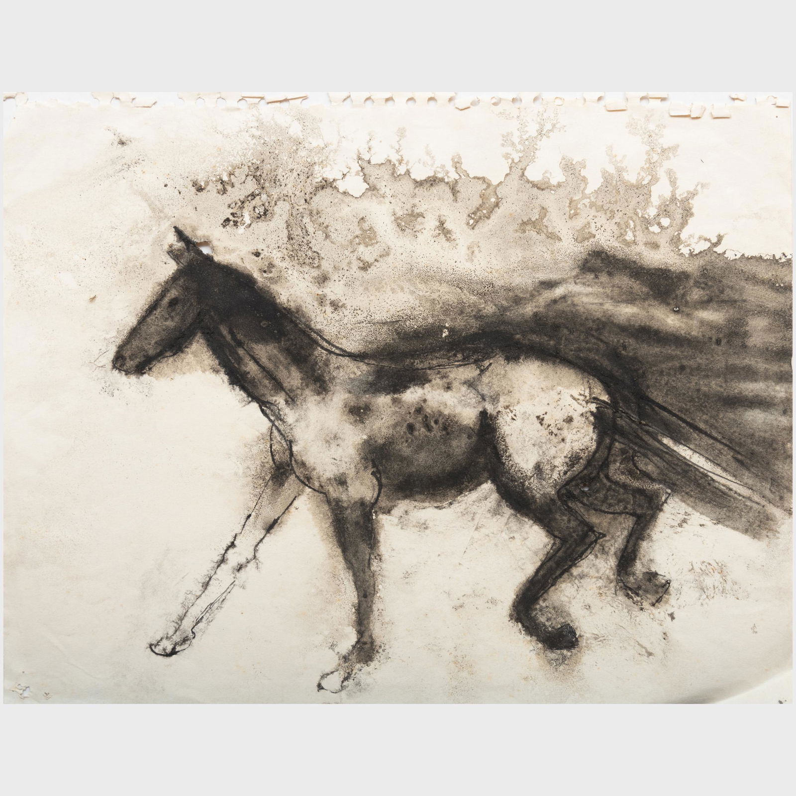 William Thon (1906-2000): Horses: Three Studies (1 of 18)