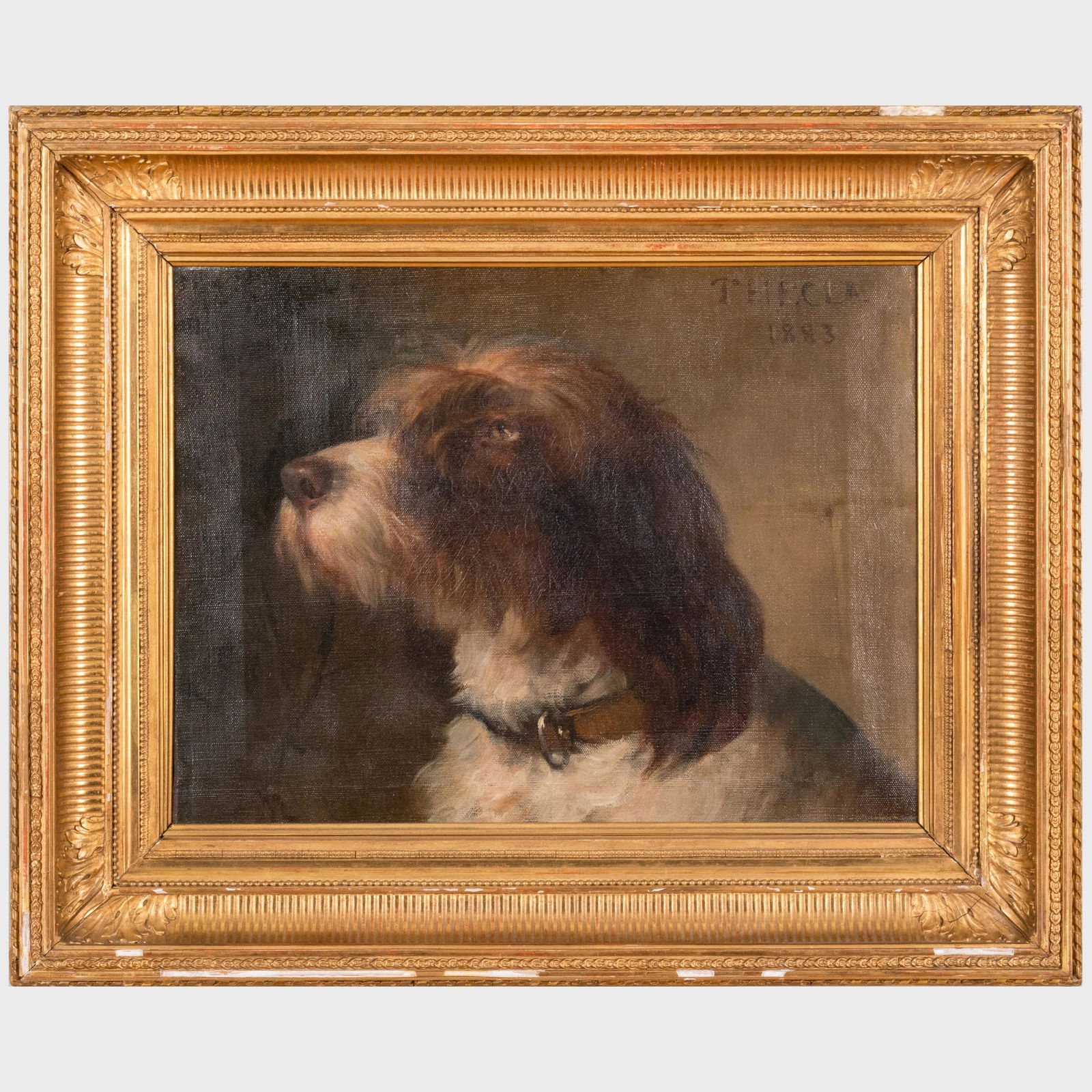 English School: Portrait of Thecia (1 of 6)