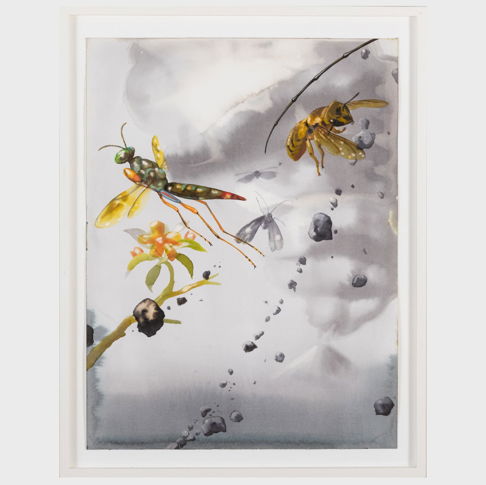 Alexis Rockman (b. 1962): Untitled: Alexis Rockman (b. 1962): Untitled Watercolor and ink on paper, 2003, signed 'Rockman' and dated lower left, with label from Gorney Bravin & Lee, NY. 24 x 18 in. (sheet), 27 1/4 x 21 1/4 in. (fram