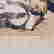 item-129020193=3
